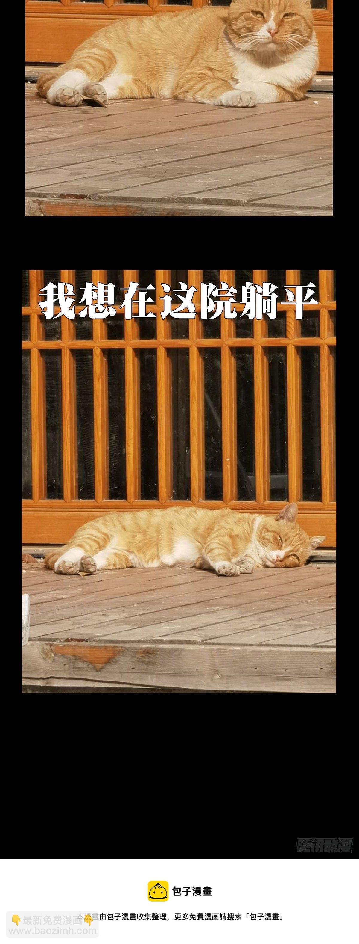 第一百九十九章\/轻敌下