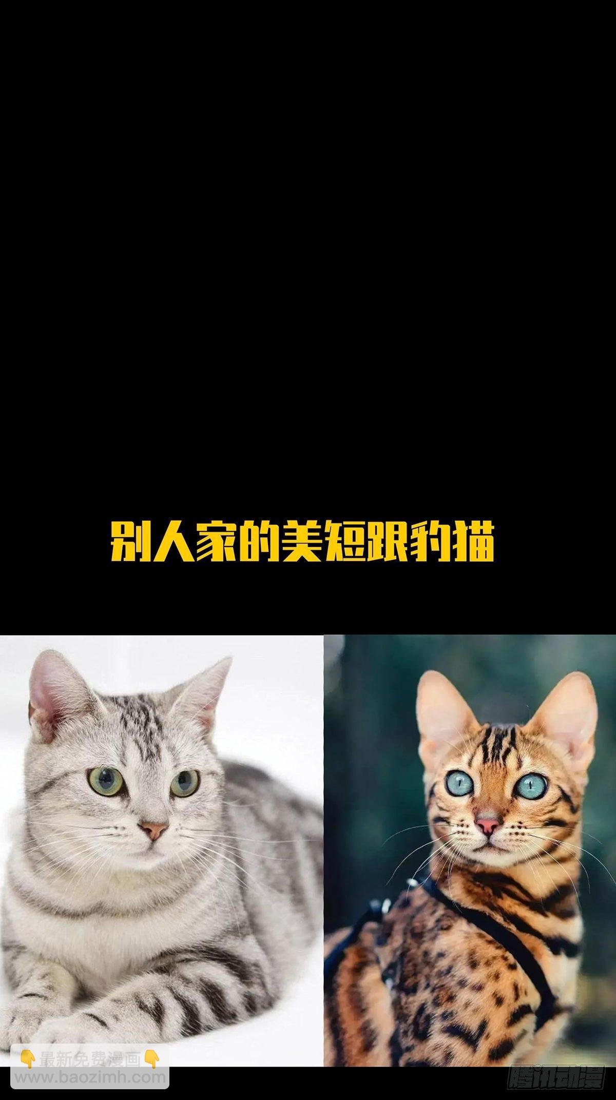 第二百零八章\/飞蛾扑火下