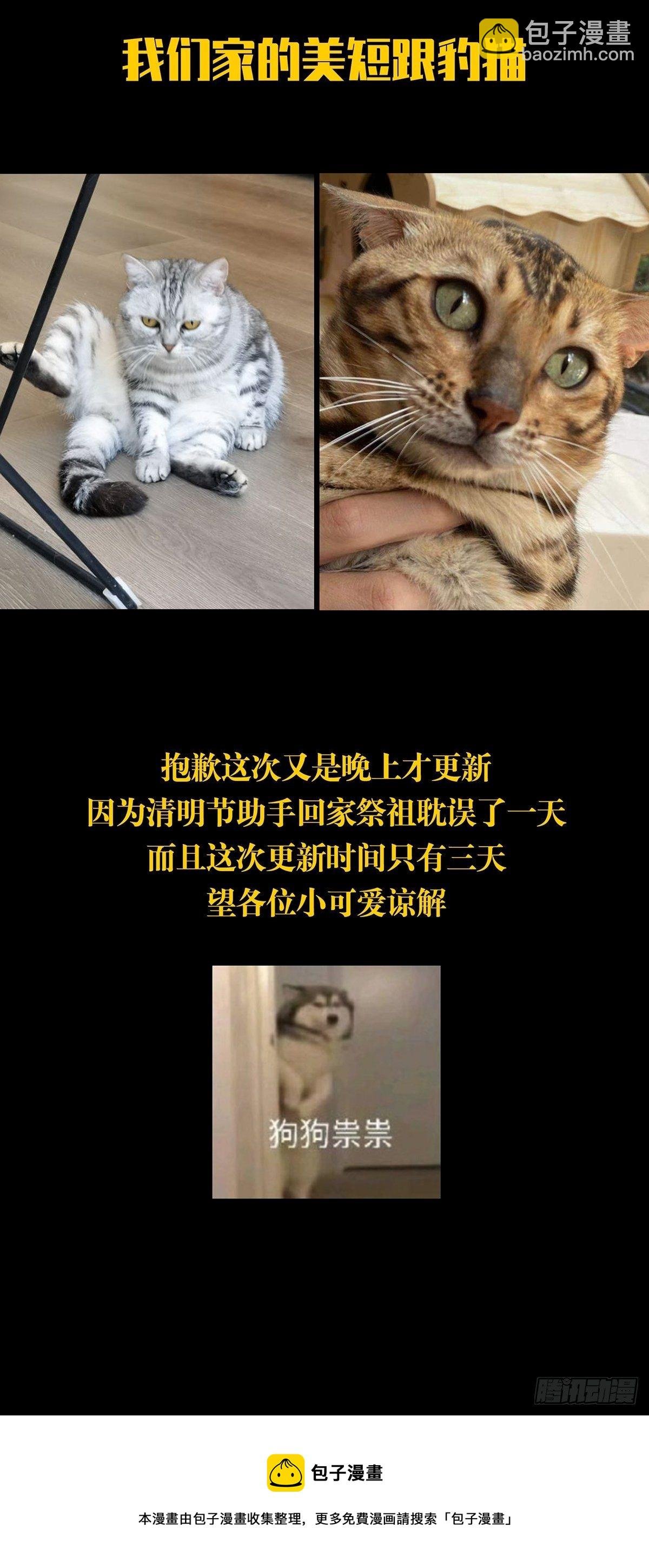 第二百零八章\/飞蛾扑火下