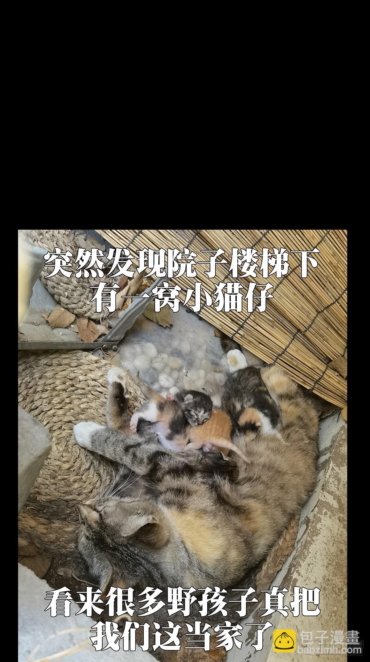 第二百一十六章\/新师父中