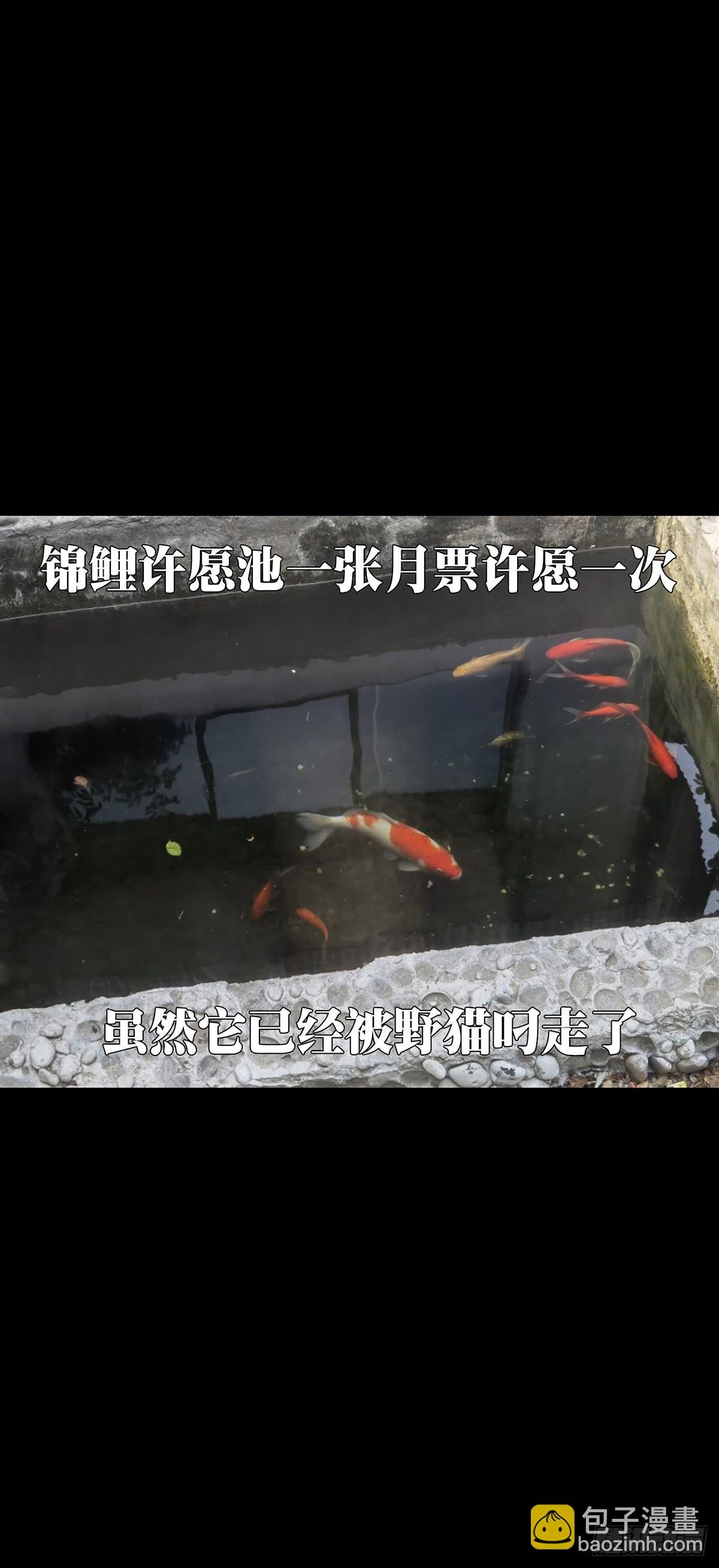第二百二十八章\/抢房子下