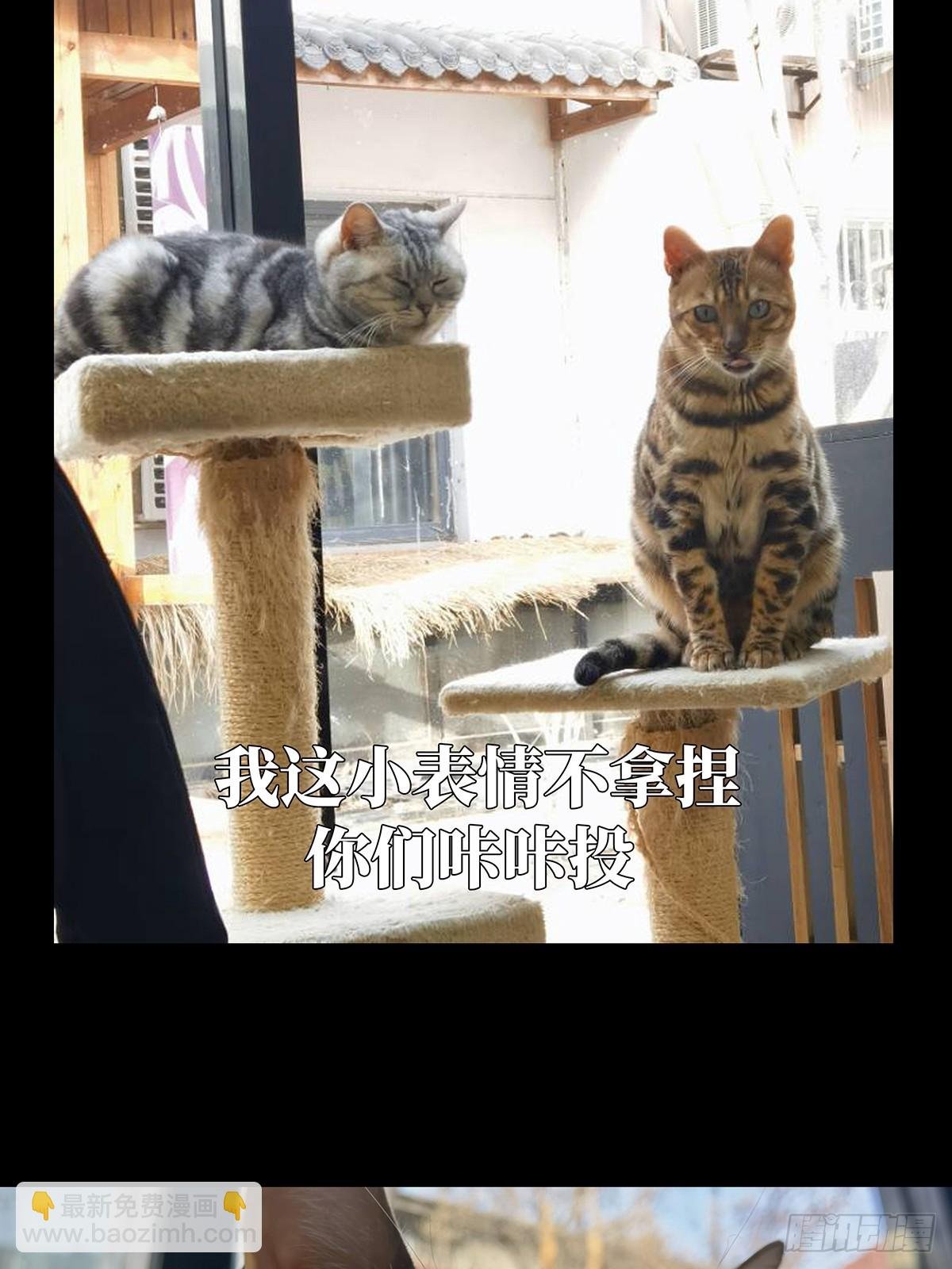 第二百九十三章\/入侵中