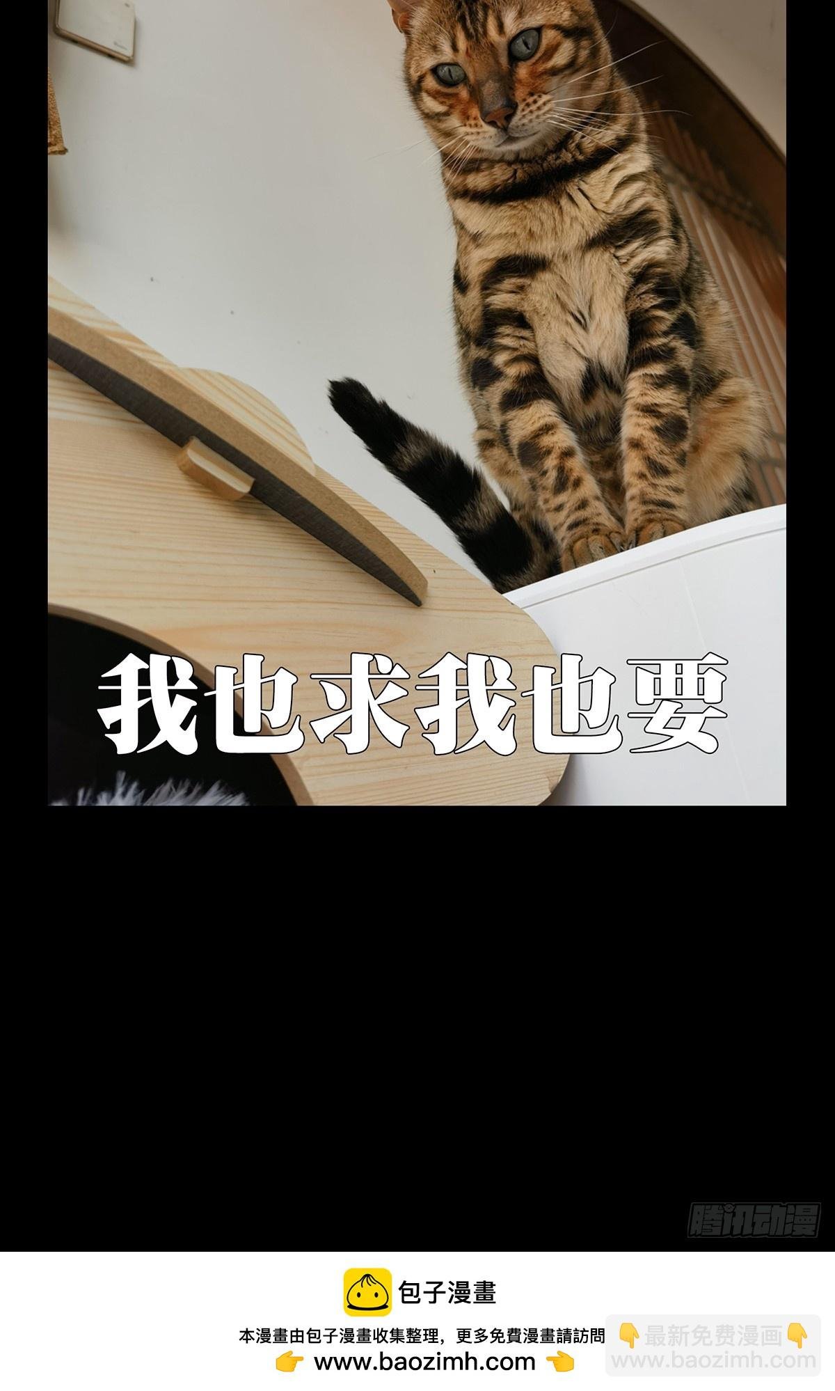第三百章\/怒火下