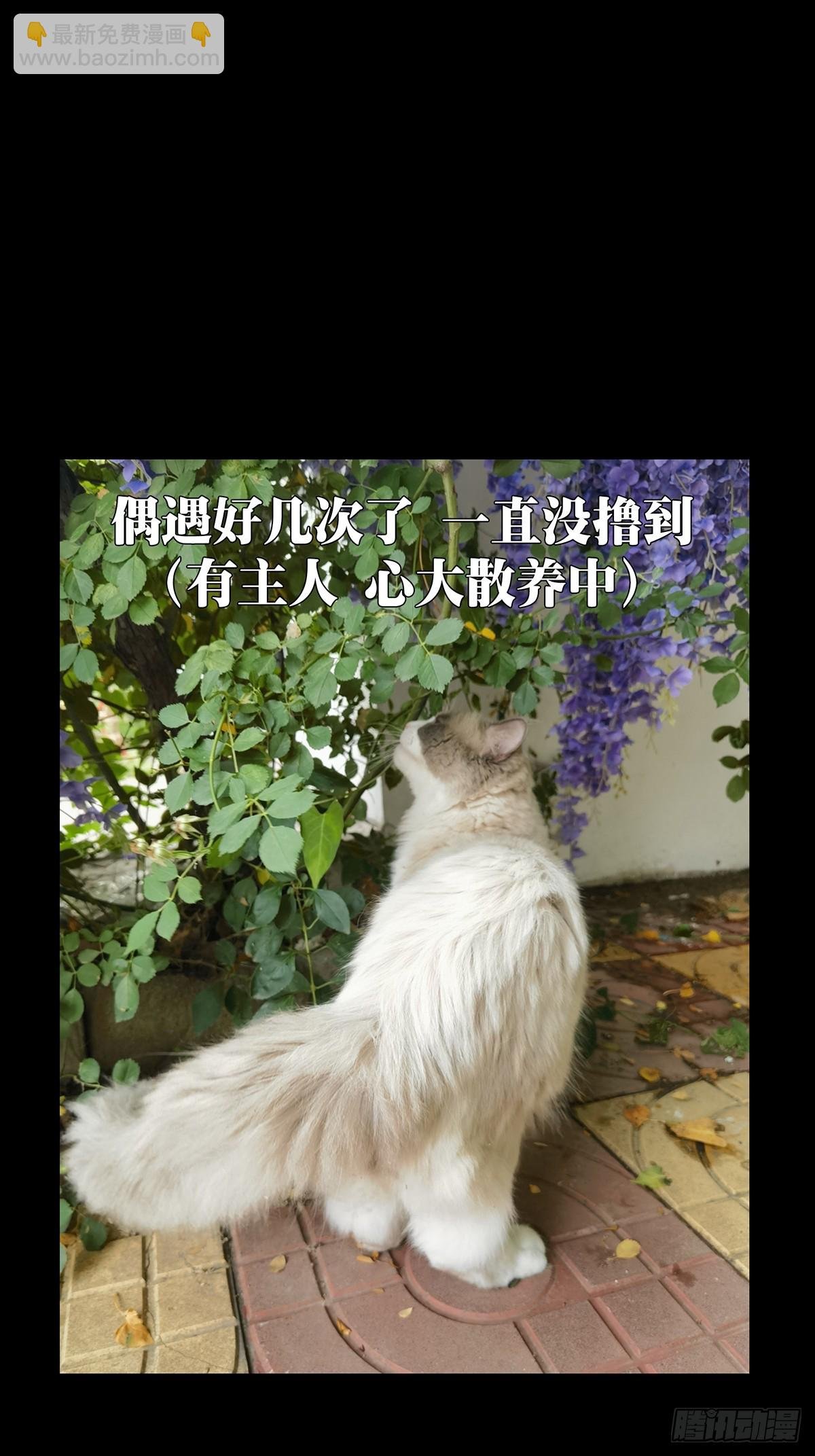 第三百二十五章\/活下去中