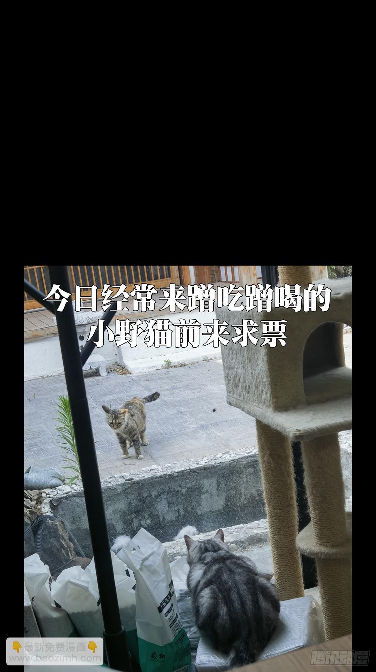 第三百二十八章\/神中