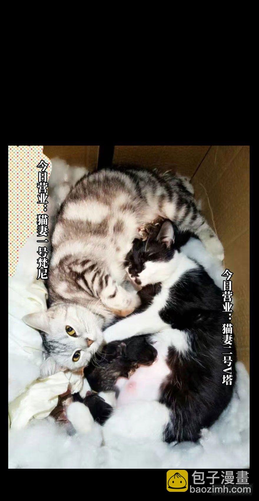 第三十八章\/洗砚古宅上