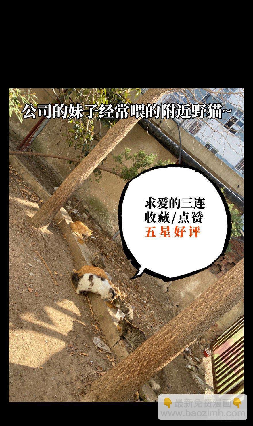 第四十一章\/看门者上