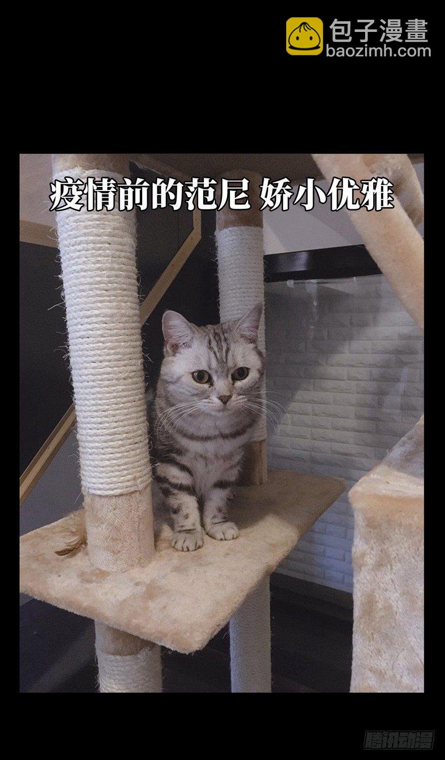 第四十六章\/悲剧下