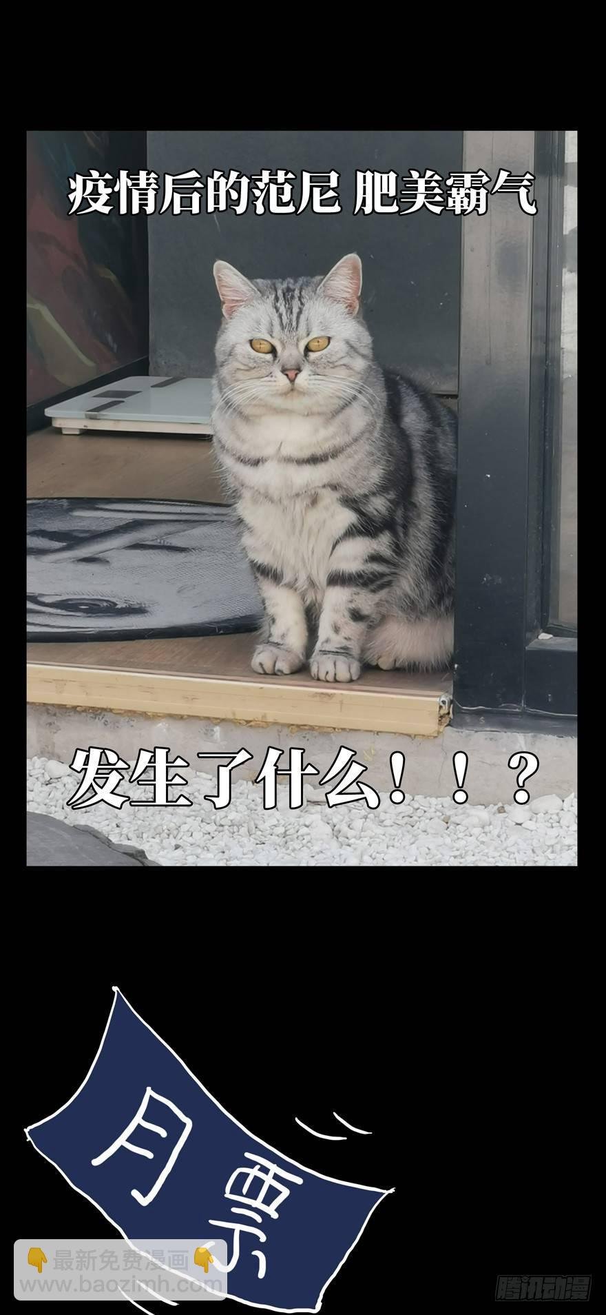 第四十六章\/悲剧下