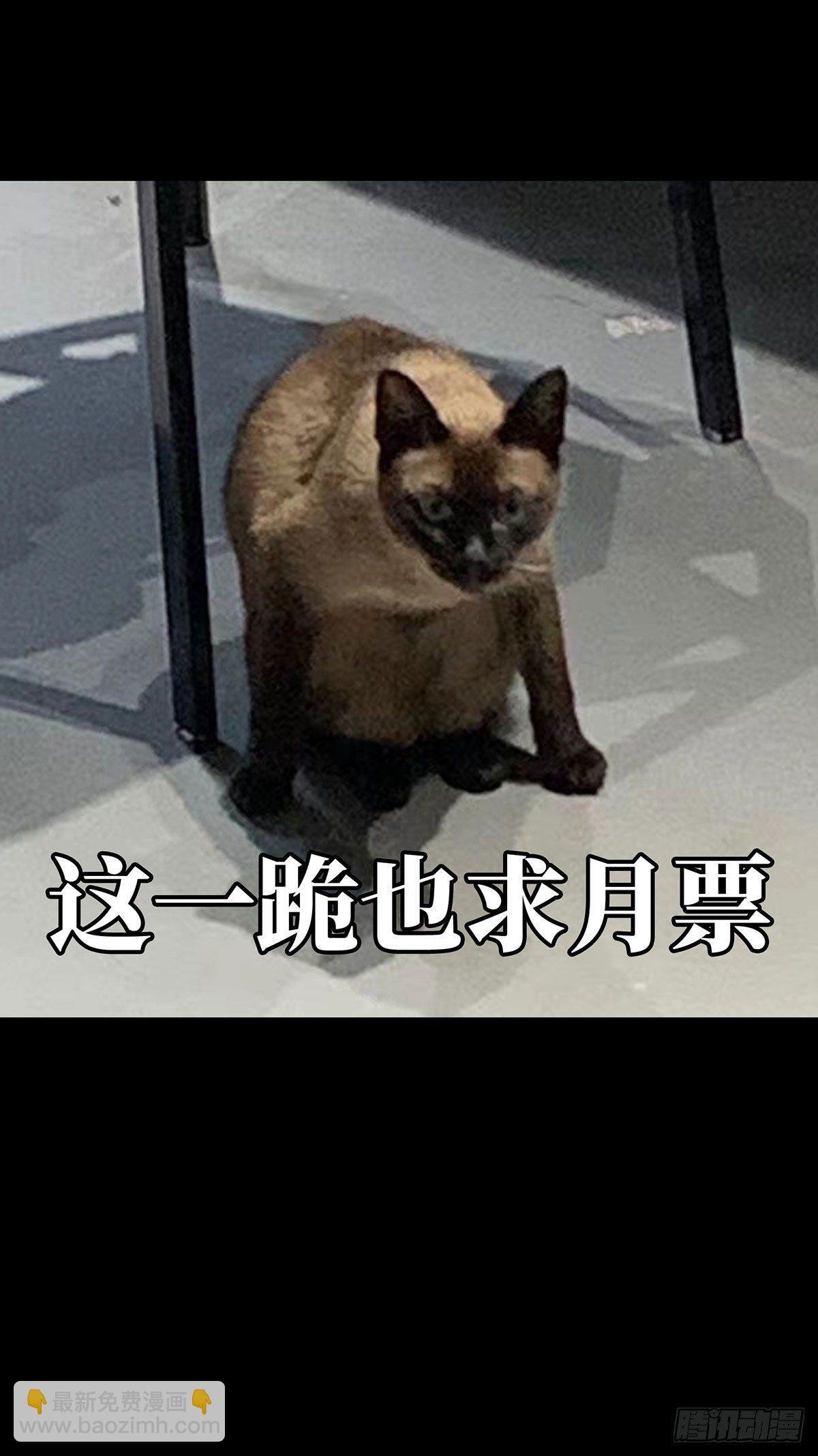 第五十六章\/家上