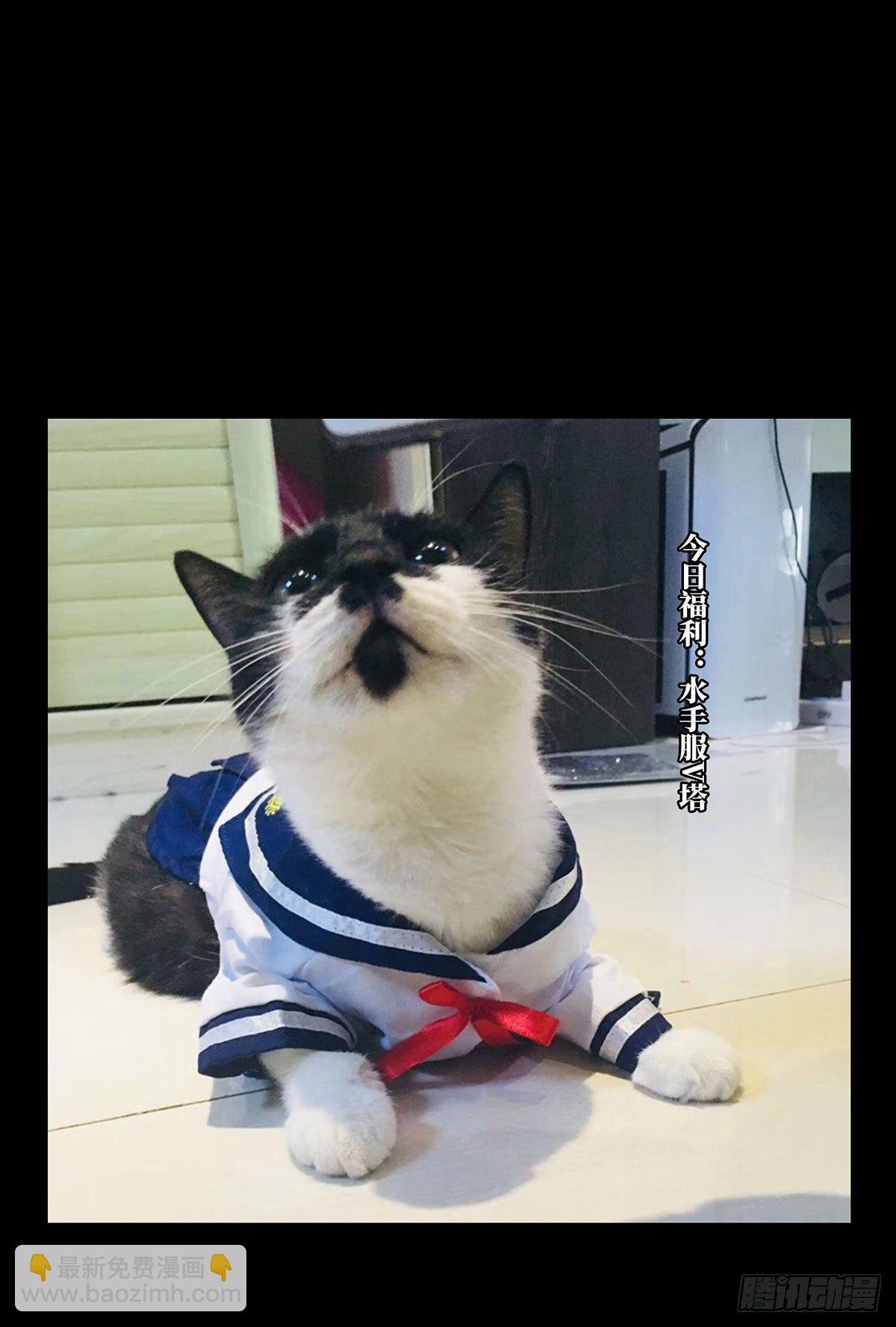 第六十章\/信任中