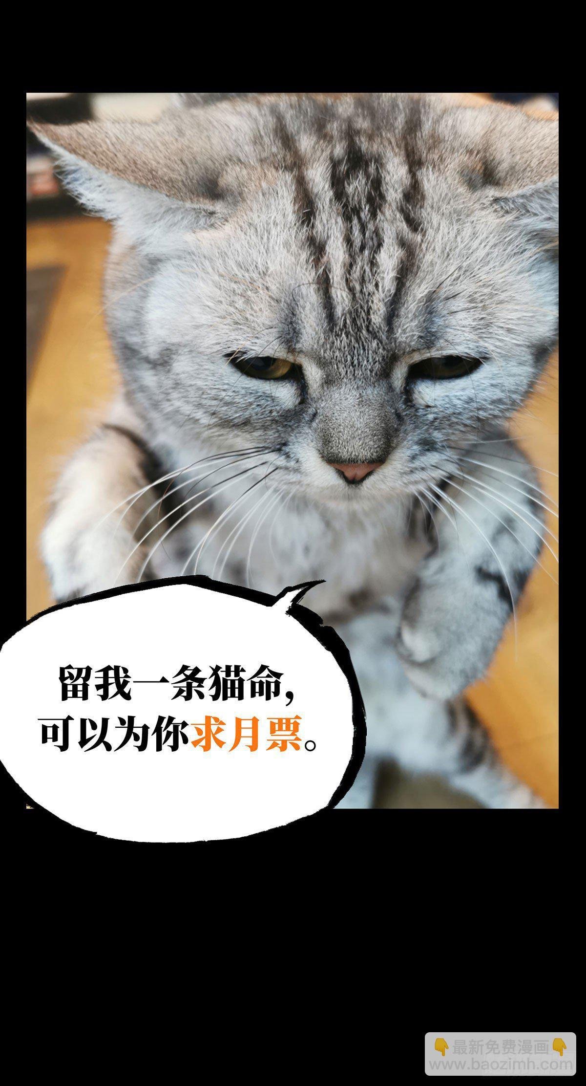 第六十一章\/信任下