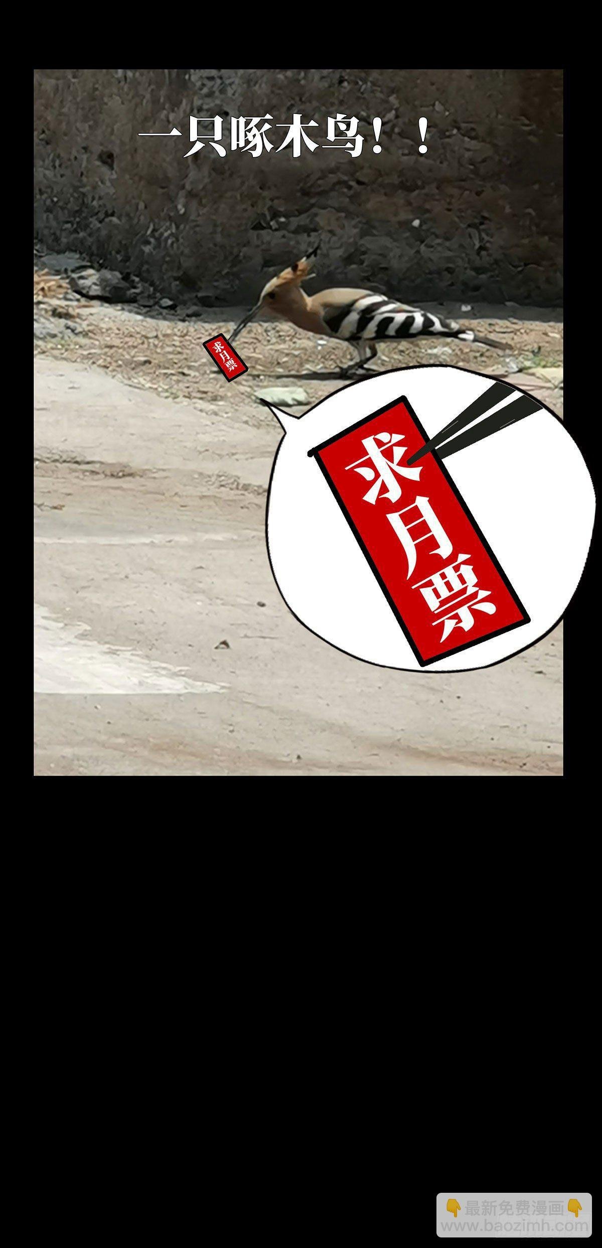 第六十二章\/刀与盾上