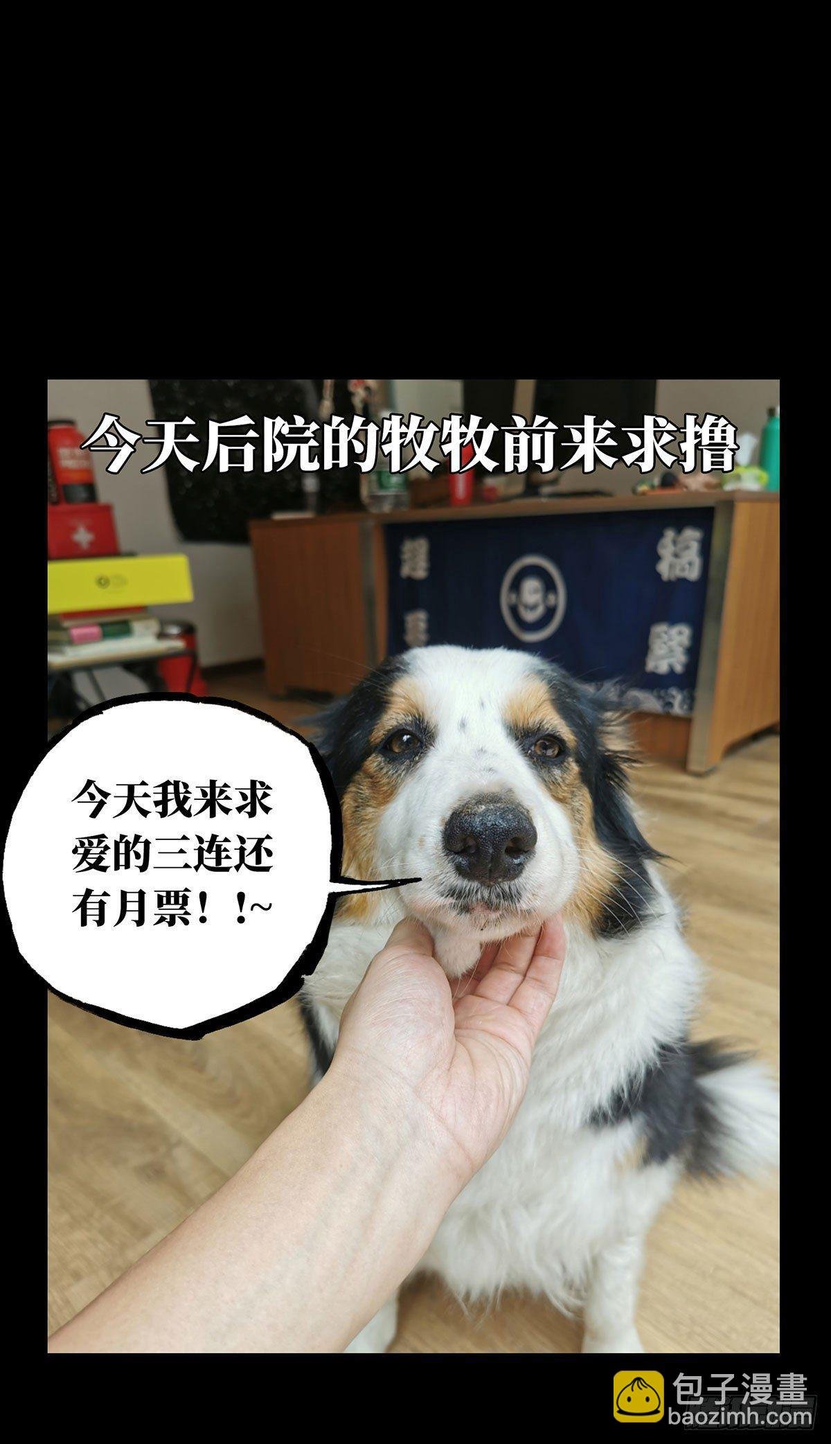 第六十四章\/刀与盾下