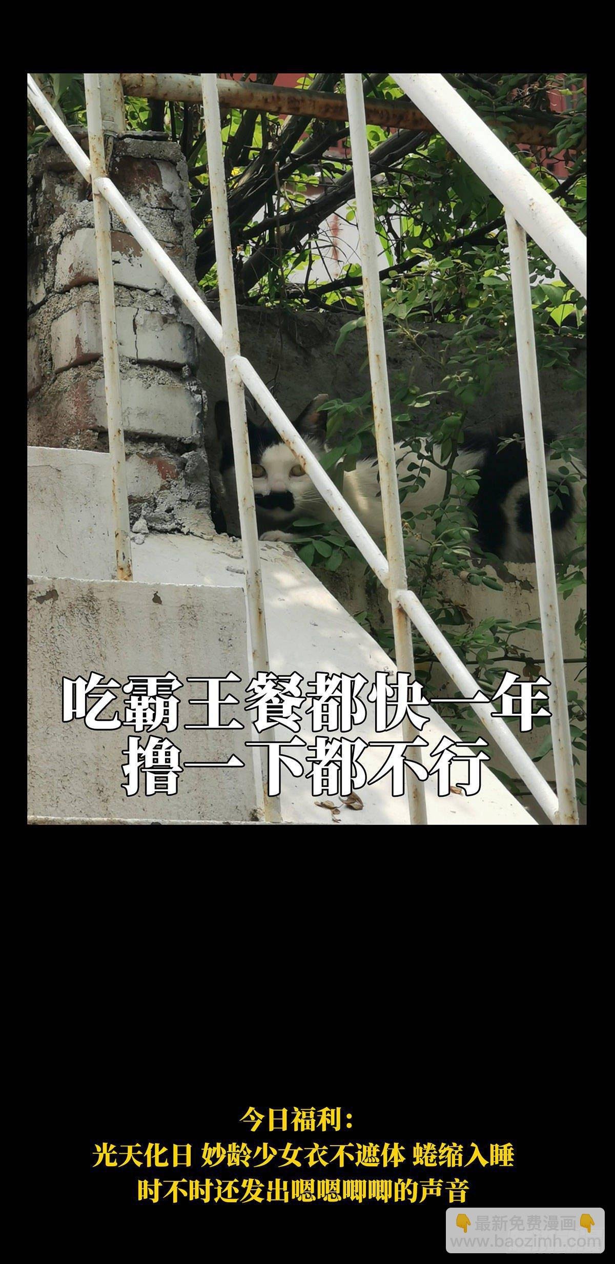 第六十六章\/病态中