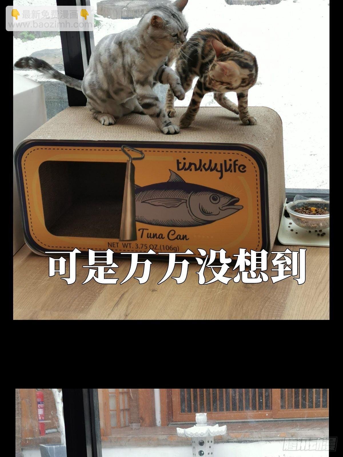 第六十七章\/病态下