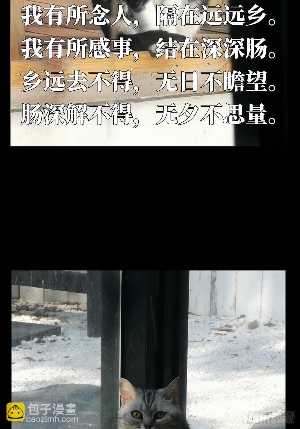 第六十九章\/至死不渝中
