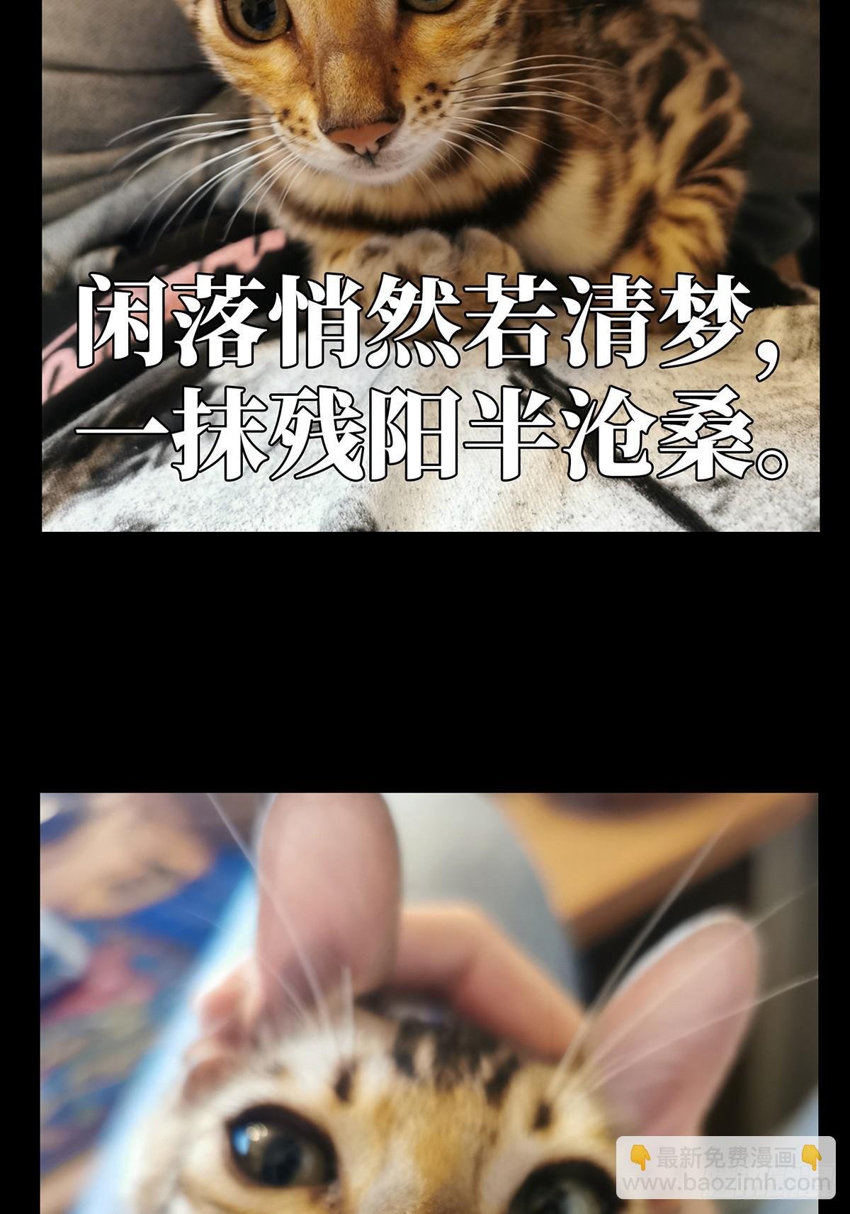 第七十章\/至死不渝下