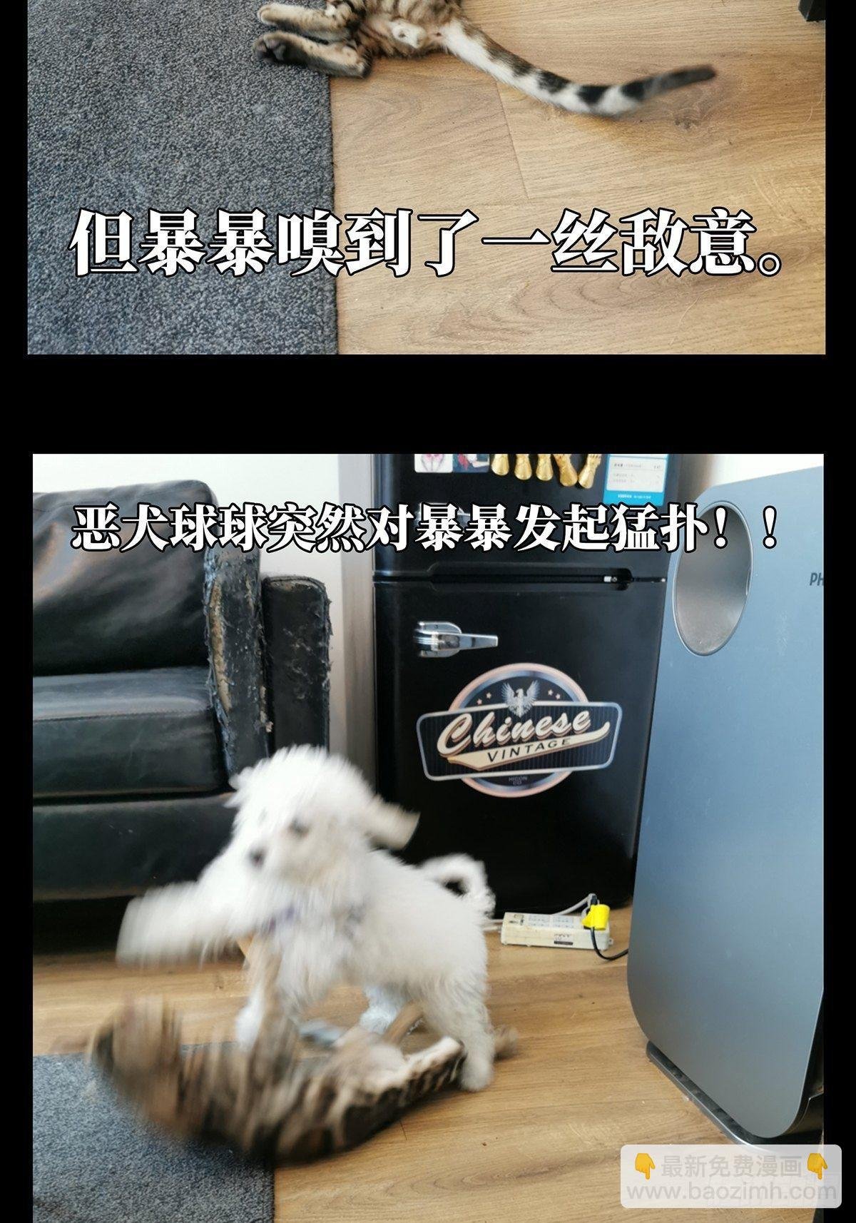 第七十二章\/她中