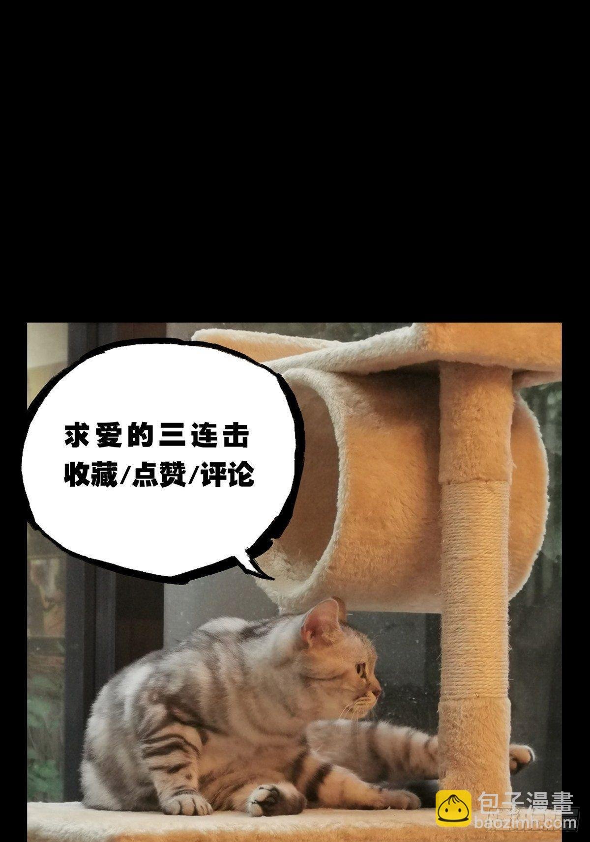 第七十五章\/真相中