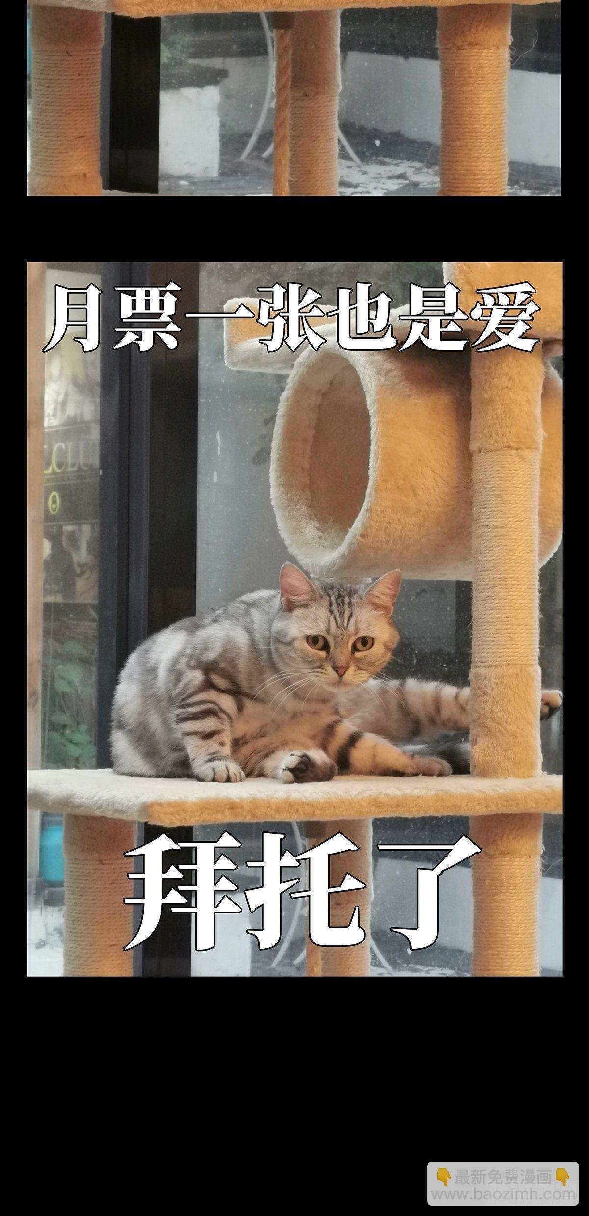 第七十五章\/真相中
