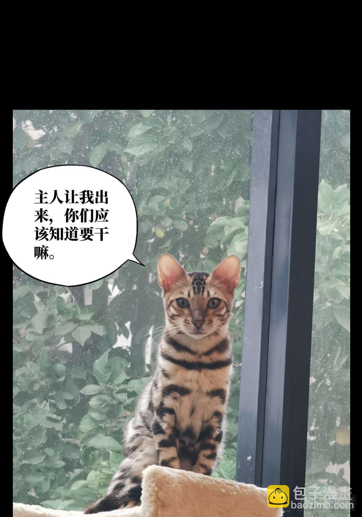 第八十章\/交易上