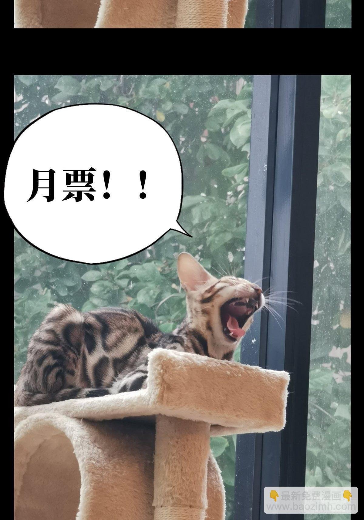 第八十章\/交易上