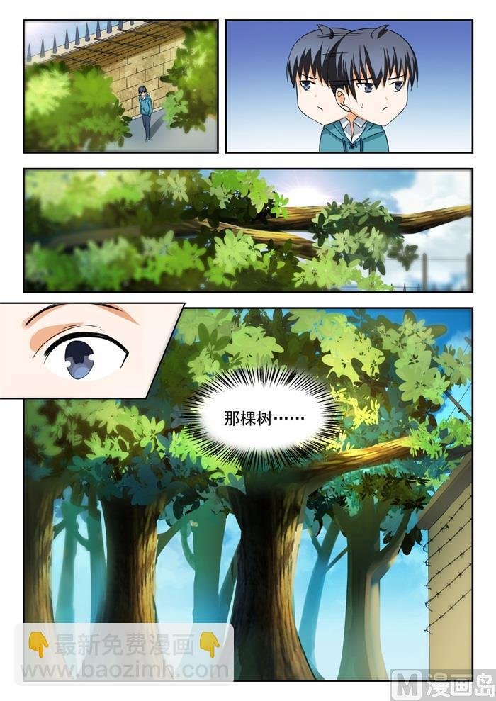 第201话 原来是这样