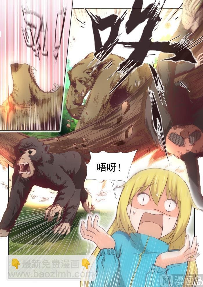 第376话 猴王