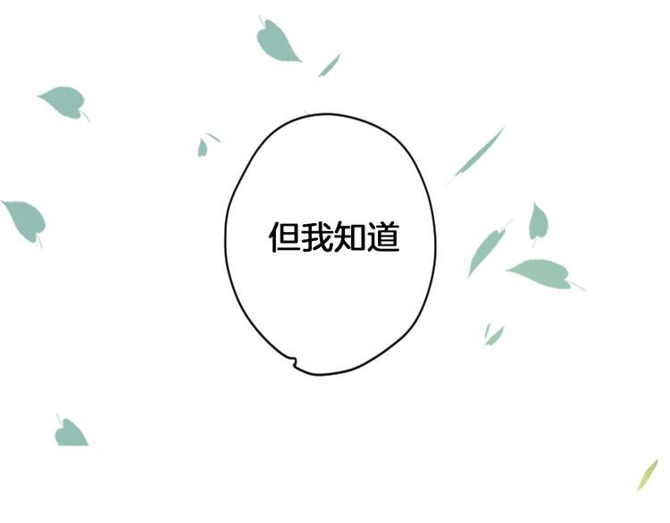序章 完美的夏天