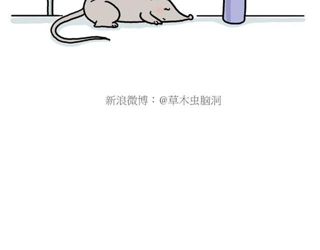师傅的APP
