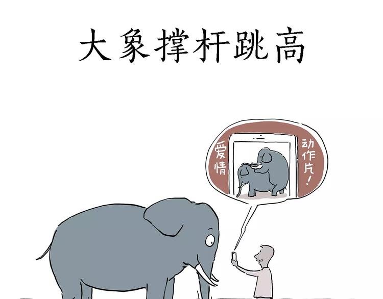 白龙马度假