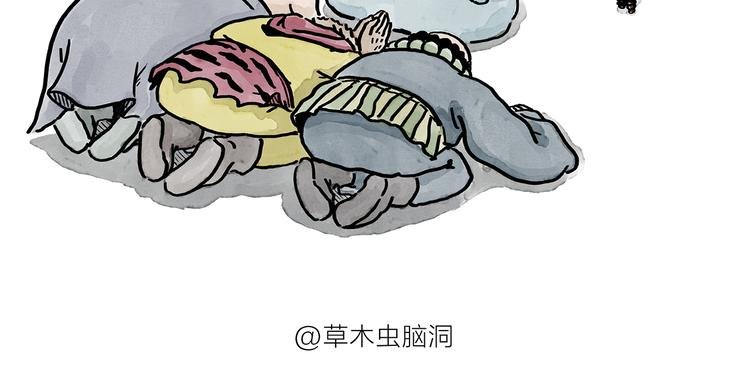 第187话 骆驼相亲