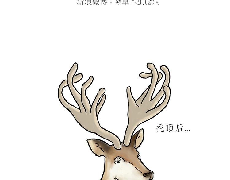 师傅抢红包