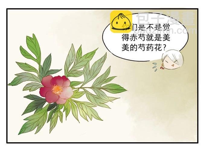 第2话 无忧不记年（二）