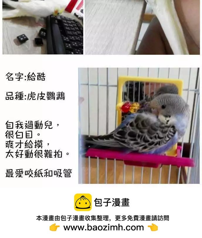 第50回 目击