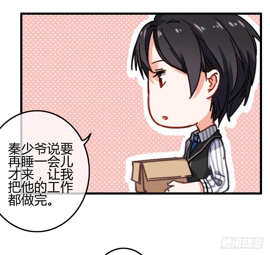 秦少爷的贴身管家