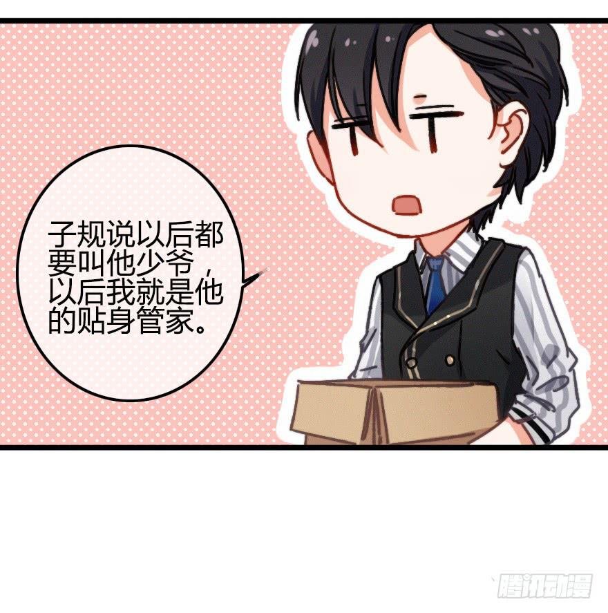 秦少爷的贴身管家