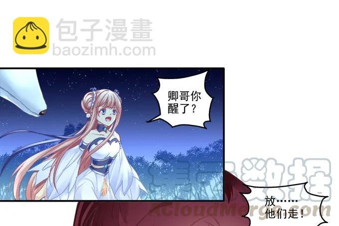 猫咪发飙