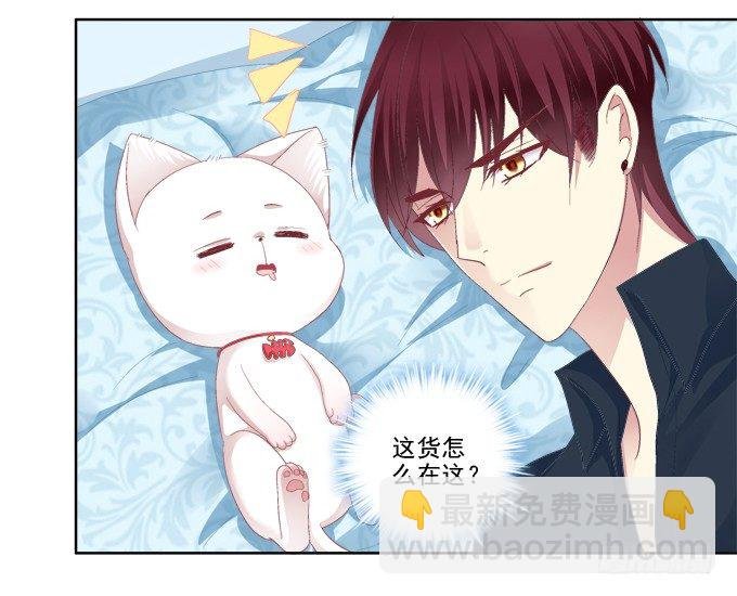 这是要入洞房吗？