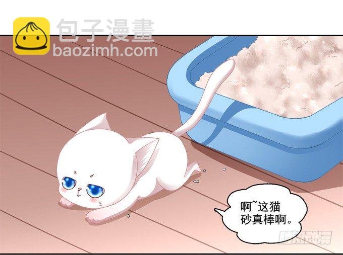 你是我的猫