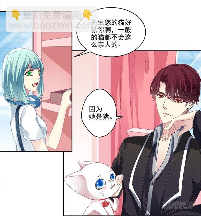 你是我的猫