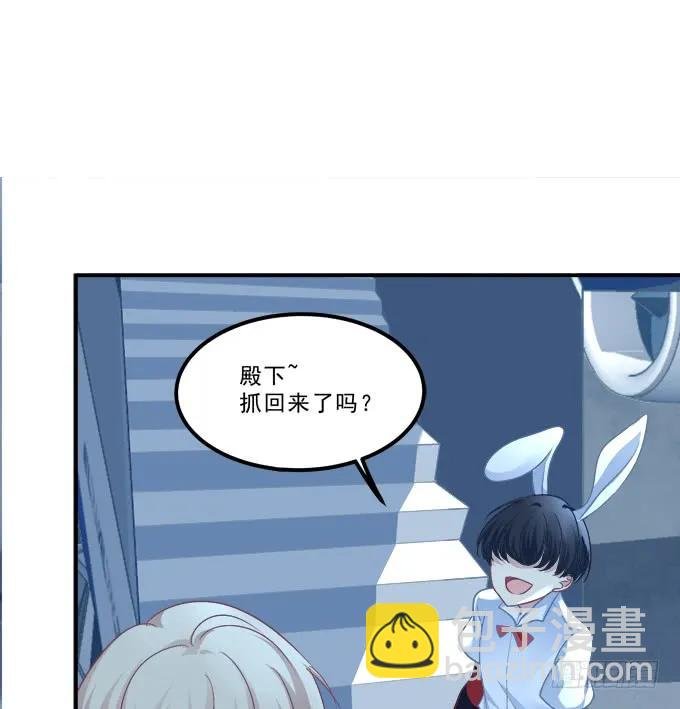 凤凰冢十三