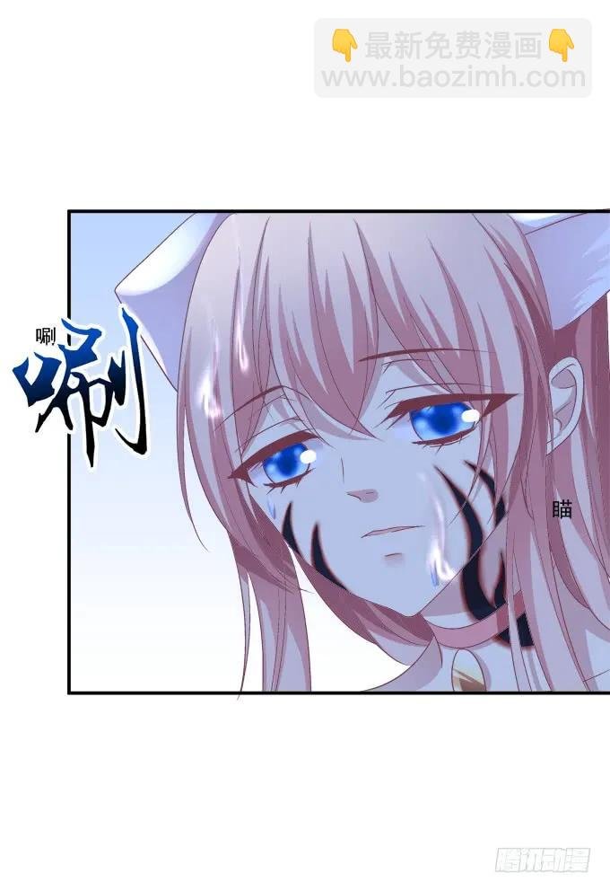 凤凰冢十四