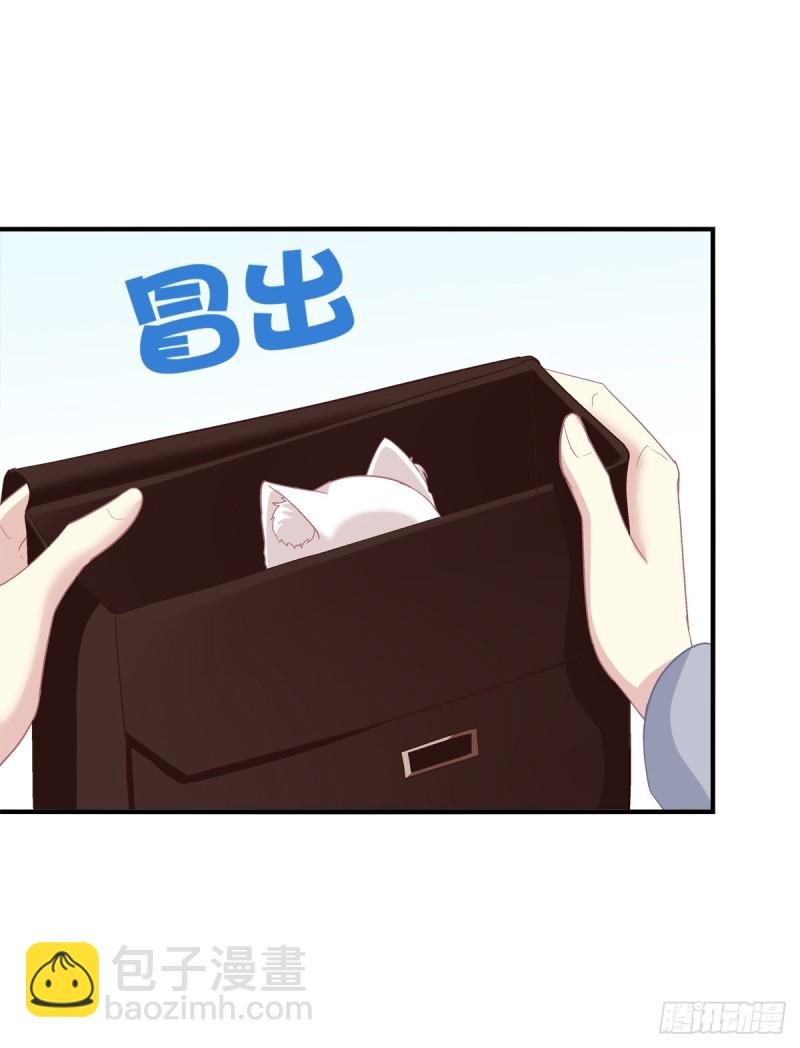 沈墨卿是个渣男！