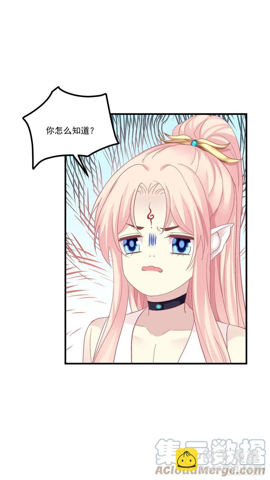 你要娶的人，是谁？