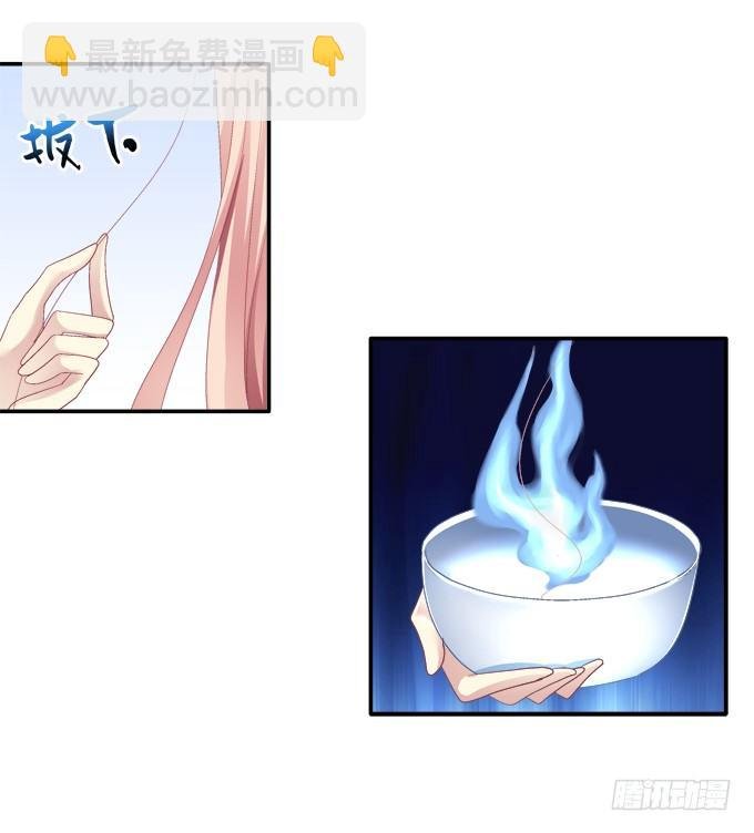 猫妖回魂