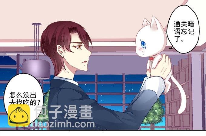 猫咪爱吃鱼