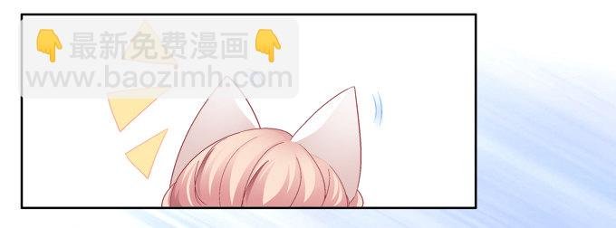 猫咪爱吃鱼