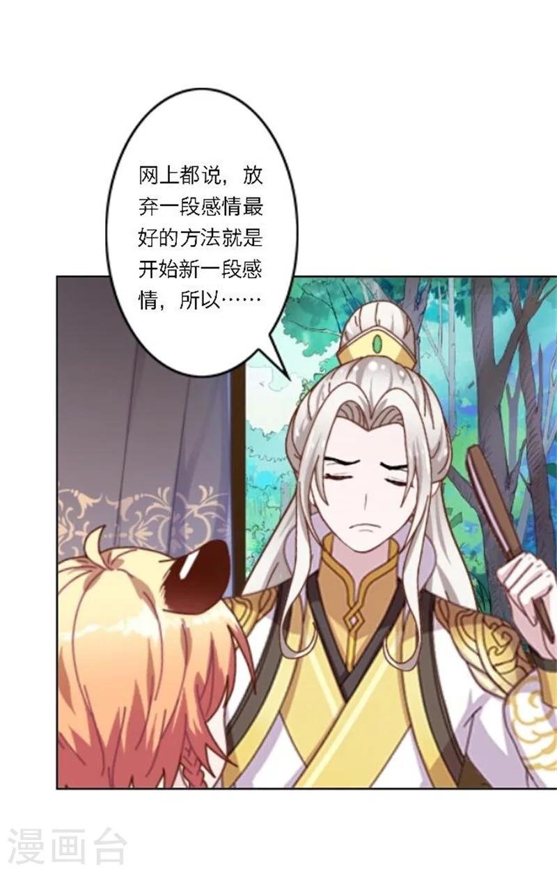 第25话 秘密武器